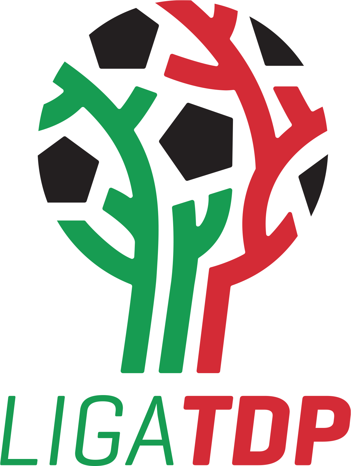 Liga TDP